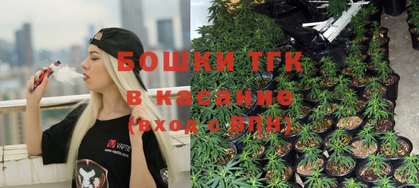 дмт Аркадак