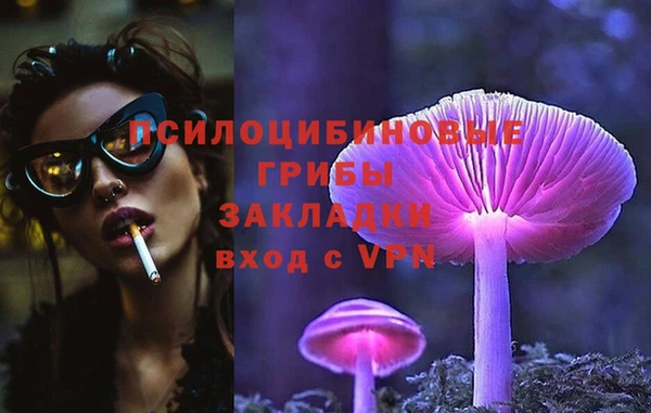 прущий лед Арсеньев